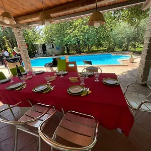 Hébergement de vacances Loft Mansardato Con Giardino E Piscina In Privata Loft With Garden And Swimming Pool In A Private, Sestu